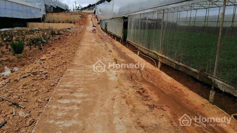 Bán rẻ lô đất 5 x 13m Làng Hoa Thái Phiên TP Đà Lạt 800 triệu - Ảnh 2