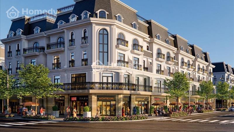 Dự án hot nhất năm 2024. Hoàng Huy new city Thuỷ nguyên - Ảnh 3