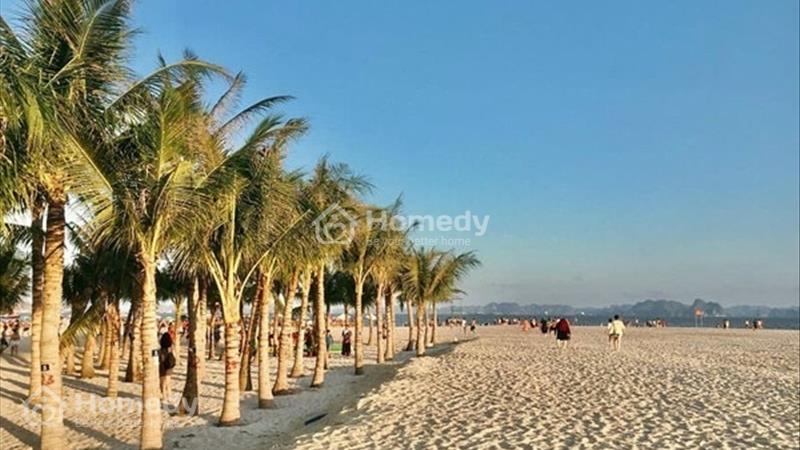 Bán nhà biệt thự, liền kề Thành phố Hạ Long - Quảng Ninh giá thỏa thuận - Ảnh 5