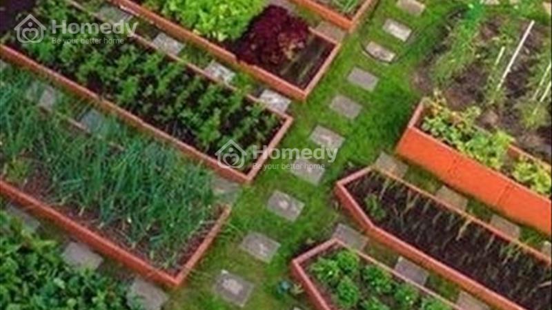 Bán đất 120m2 mặt tiền Hoàng Thế Thiện tặng kèm 25m2 ngoài sổ - Ảnh 3