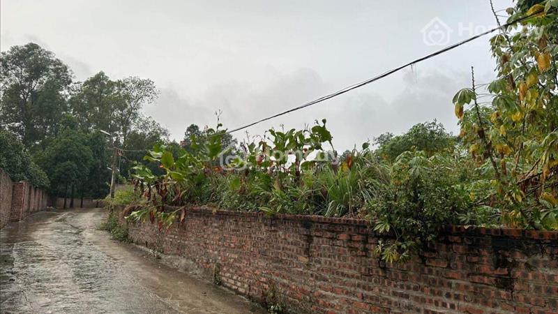 Bán 410m2 đất thổ cư thôn CD Quán Trạch - Liên Nghĩa, huyện Văn Giang - Ảnh 1