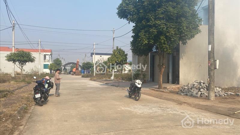 Cần tiền bán gấp lô đất 434m2 tại thôn Quán Trạch CD, xã Liên Nghĩa, Văn Giang, Hưng Yên - Ảnh 1