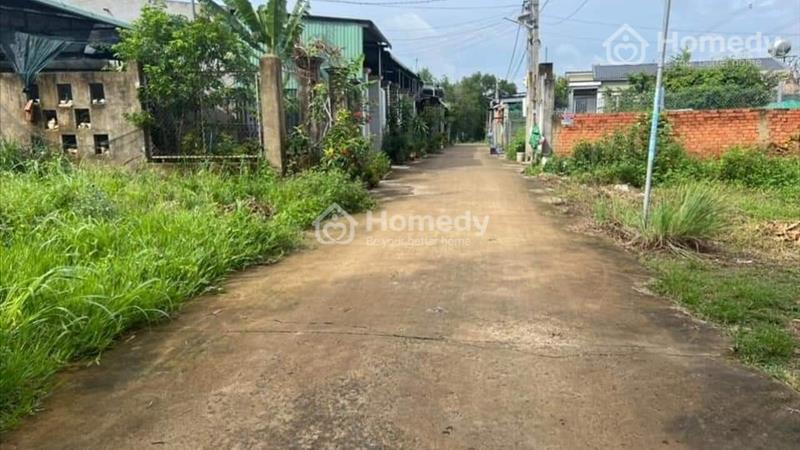 Về quê cần bán gấp miếng đất 300m2 giá 299 triệu - Ảnh 2