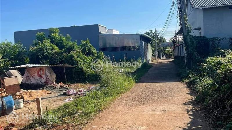 Về quê cần bán gấp miếng đất 300m2 giá 299 triệu - Ảnh 3