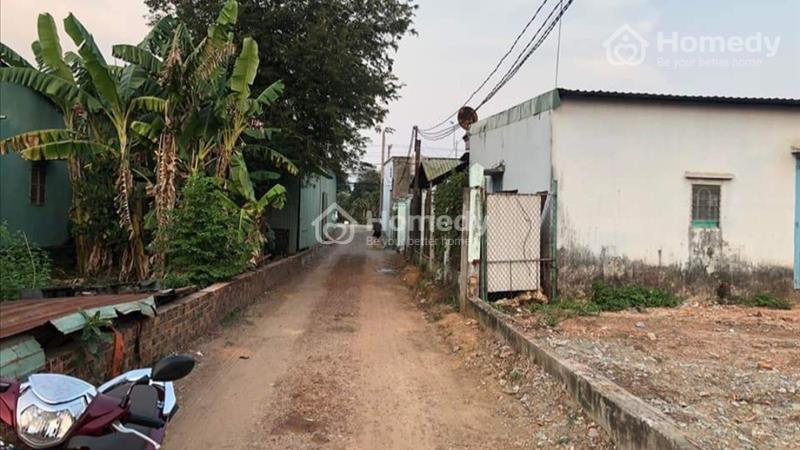 Bị xiết nợ bán gấp 300m2 thổ cư giá 250 triệu - Ảnh 2