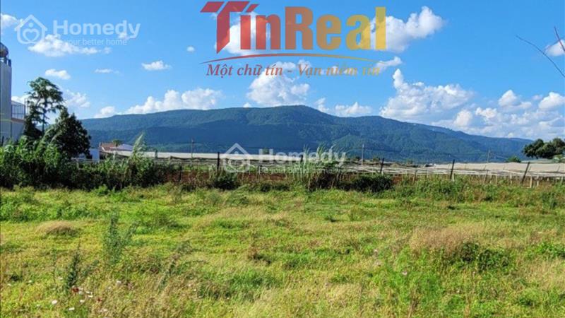 Bán đất nền dự án Huyện Đơn Dương - Lâm Đồng giá 800.00 Triệu - Ảnh 8