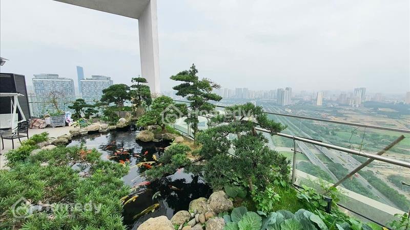 Siêu phẩm biệt thự trên cao - Penthouse Mỹ đình pearl 530m2 sân vườn rộng Ngày 9/1/2024  - Ảnh 8