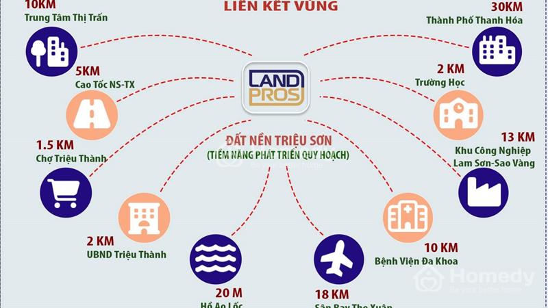 Đầu tư sở hữu sổ đỏ đất nền cực kỳ tiềm năng từ 300 triệu/lô Tại Triệu Sơn- Thanh Hóa - Ảnh 3