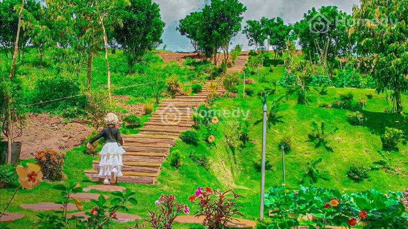 Bán đất Huyện Bảo Lâm - Lâm Đồng giá thỏa thuận - Ảnh 1