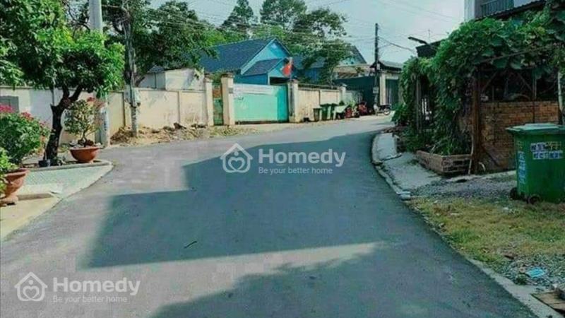 Bán lỗ nửa giá trả nợ ngân hàng 250m2 - 249 triệu/SHR - Ảnh 3