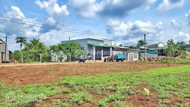 chị mới mua sông lô đất lại gặp chúc khó khăn cần bán lai - Ảnh 3