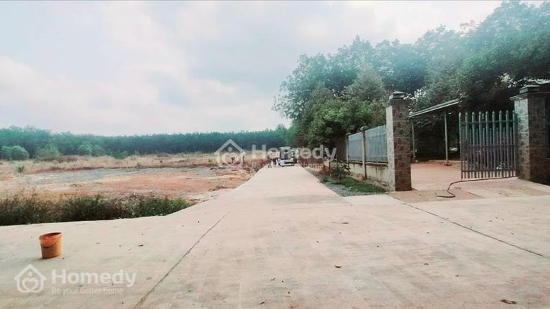 nhà chú cắt bới hơn 20m đất mặt tiền bán rẻ lại  - Ảnh 2