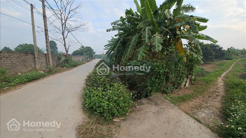 Bán đất Huyện Quốc Oai - Hà Nội giá 350.00 Triệu - Ảnh 4