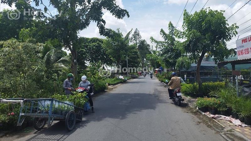 Bán nhà đất ngay làng hoa du lịch thành phố sa đéc đồng tháp gần 700m2 - Ảnh 3