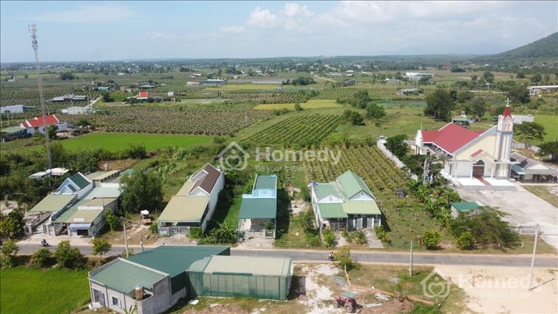 🔵 7x83 (602.9m2) Full Hồng, Đinh Công Tráng Tân Tiến LaGi, Gần Biển, Sổ Riêng, Giá Thanh Lý. - Ảnh 2