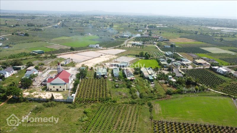 🔵 7x83 (602.9m2) Full Hồng, Đinh Công Tráng Tân Tiến LaGi, Gần Biển, Sổ Riêng, Giá Thanh Lý. - Ảnh 4