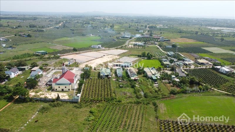 🔵 7x83 (602.9m2) Full Hồng, Đinh Công Tráng Tân Tiến LaGi, Gần Biển, Sổ Riêng, Giá Thanh Lý. - Ảnh 5