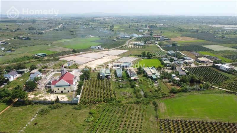 🔵 7x83 (602.9m2) Full Hồng, Đinh Công Tráng Tân Tiến LaGi, Gần Biển, Sổ Riêng, Giá Thanh Lý. - Ảnh 6
