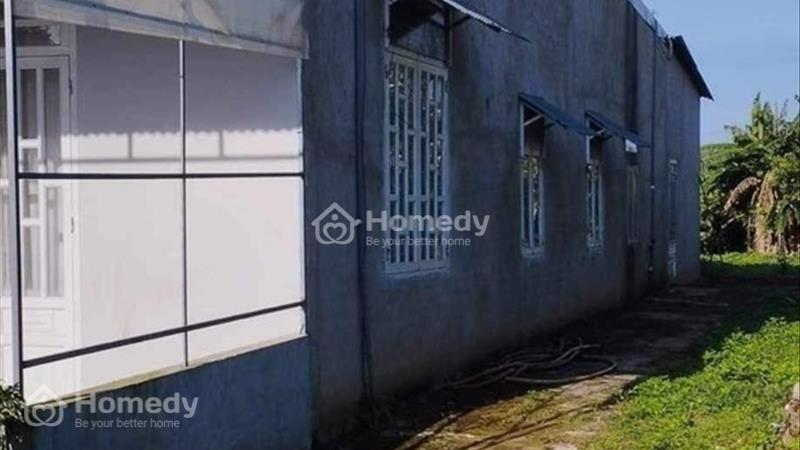 Bán nhà 500m2 Nguyễn Đình Chiểu phường Lộc Phát, Tp Bảo Lộc - cạnh trường THPT Phan Văn Trị - Ảnh 2