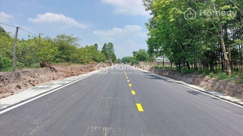 Bán đất nền dự án Huyện Dầu Tiếng - Bình Dương giá 480.00 Triệu - Ảnh 4