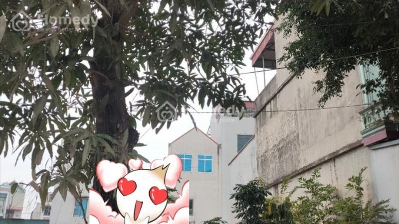 Bán đất Huyện Tiên Du - Bắc Ninh giá 3.50 Tỷ 139m2 - Ảnh 3