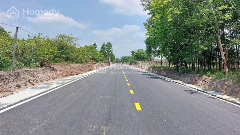 Bán đất nền dự án Huyện Dầu Tiếng - Bình Dương giá 480.00 Triệu - Ảnh 4