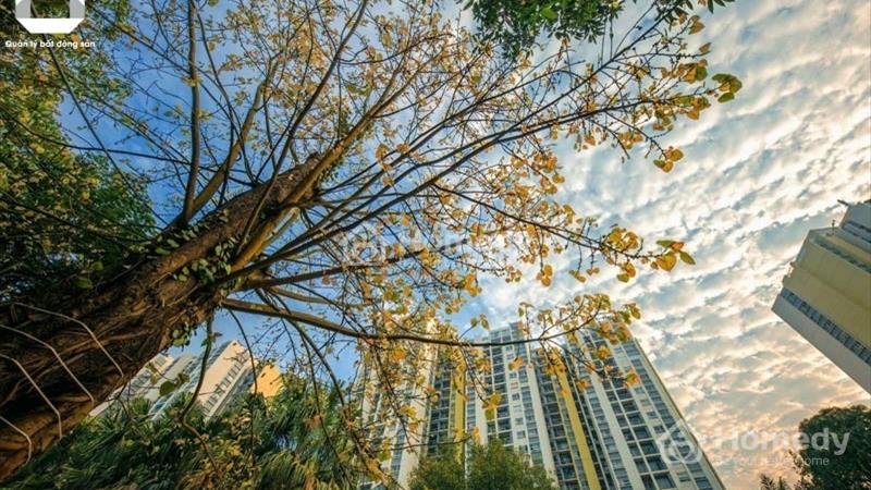 Bán 3 ngủ - Chung cư Rừng cọ Ecopark - 92m2 - Giá chỉ 2,3xx - Ảnh 1