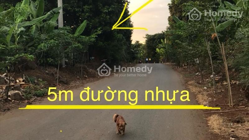Bán đất 4057m2, mặt tiền 30m sổ hồng chính chủ - Ảnh 2