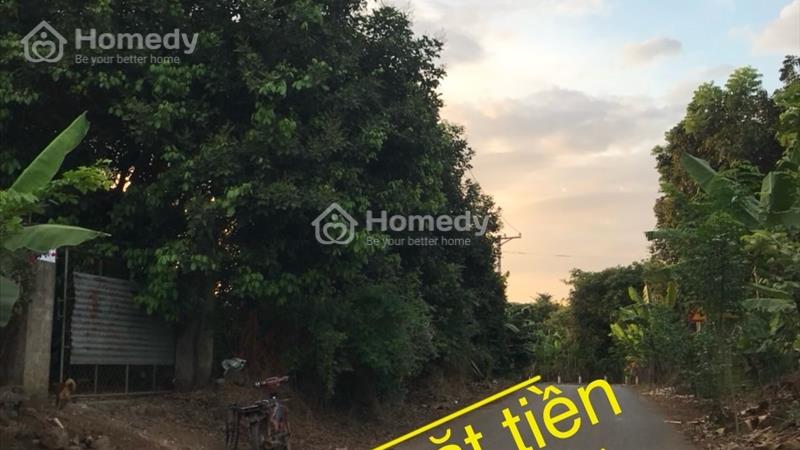 Bán đất 4057m2, mặt tiền 30m sổ hồng chính chủ - Ảnh 1