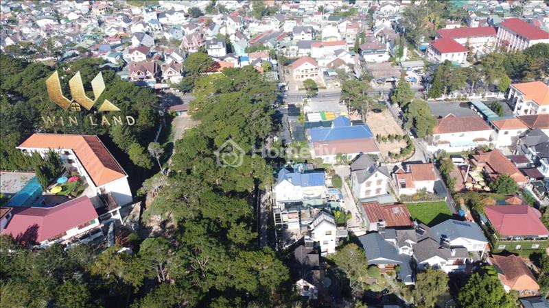 Cần bán nền biệt lập view đẹp Thành phố Đà Lạt - Lâm Đồng giá 26.00 Tỷ - Ảnh 2