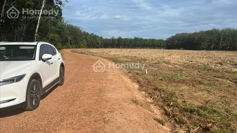 Bán Đất Nền Bình Dương Rẻ Chỉ 475tr Có Thổ Cư, Công Chứng Ngay - Ảnh 3