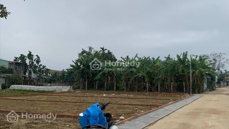 Chủ cần tiền cần bán gấp đất trung tâm Ái Nghĩa - Ảnh 2