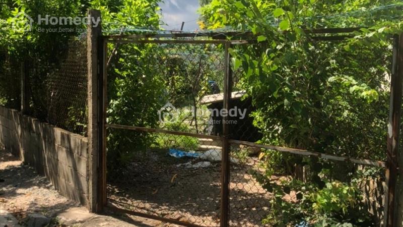 Bán Gấp 12x45, 120m thổ cư, lô 2 Lê Minh Công, Tân Phước, TX LaGi, Bình Thuận. giá NGỢP 1,8 tỷ - Ảnh 2
