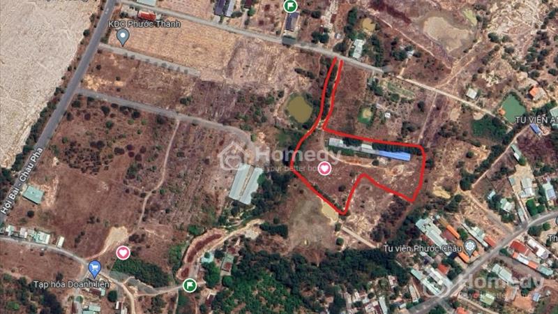Giảm 50%: 1,1 ha (11.000m2) giá 9.5 tỷ, đất CLN tại Phú Mỹ -BR có điện, nước, giếng, đường dọc suối - Ảnh 1