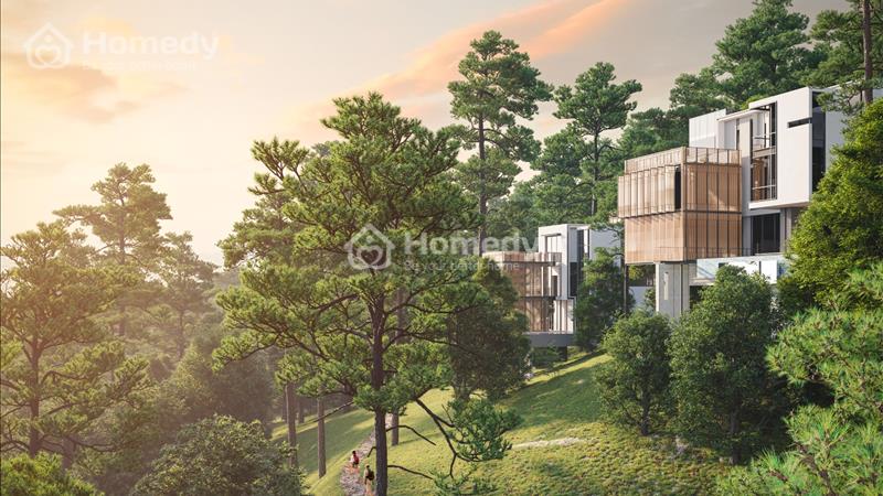 Bán nhà biệt thự, liền kề Thị xã Phúc Yên - Vĩnh Phúc giá thỏa thuận - Ảnh 6