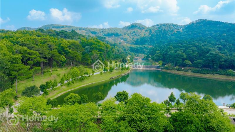 Bán nhà biệt thự, liền kề Thị xã Phúc Yên - Vĩnh Phúc giá thỏa thuận - Ảnh 4