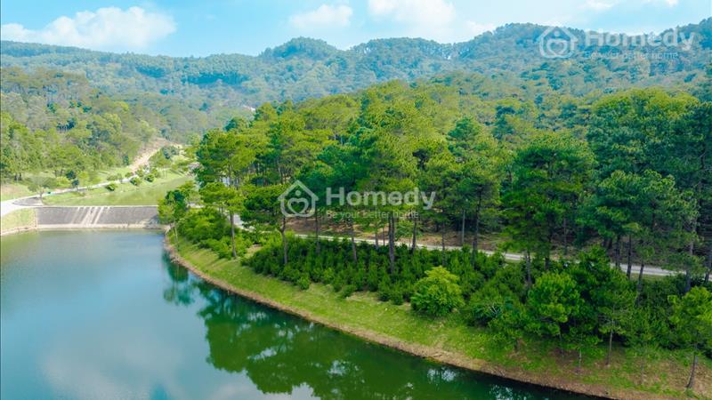 Bán nhà biệt thự, liền kề Thị xã Phúc Yên - Vĩnh Phúc giá thỏa thuận - Ảnh 3
