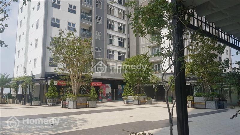 Căn hộ chung cư tại Xi Grand Court-90m2 căn góc - Ảnh 3
