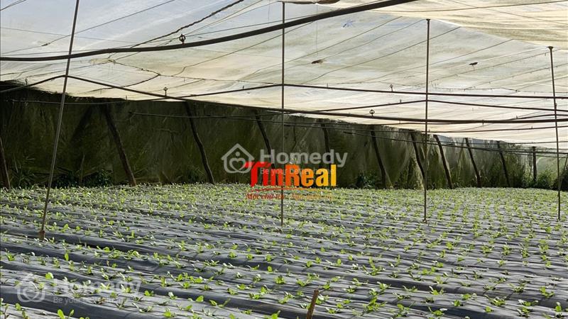 Bán đất Huyện Đơn Dương - Lâm Đồng giá 1.00 Tỷ - Ảnh 2