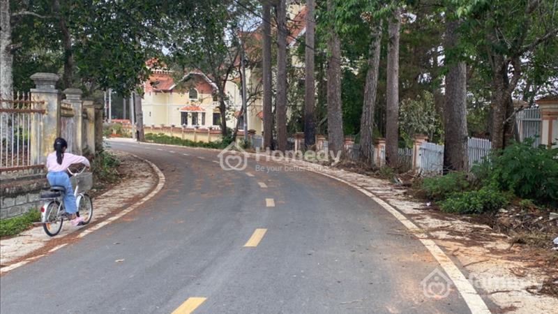 Bán nhà 2 mặt tiền đồi Yên Thế,view cao,Thành phố Đà Lạt - Lâm Đồng giá 54.00 Tỷ - Ảnh 2