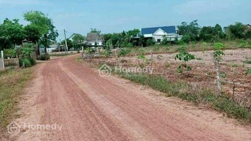tôi đang cân tiên bán gấp hạ giá bán lợi nhuận gấp đôi  - Ảnh 1