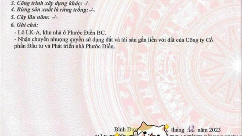 Nhận ngay nhà ở đồng bộ 172m2/3 tầng/sẵn sổ hồng riêng chỉ với 1.2 tỷ ngay Tp. Thuận An,Bình Dương - Ảnh 7