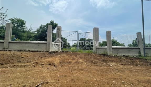 Chủ hạ giá bán lỗ 200tr ( 880/1 sào còn 780) miếng đất vườn hơn 2 SÀO ĐẤT trồng full nhãn , KDC  - Ảnh 1