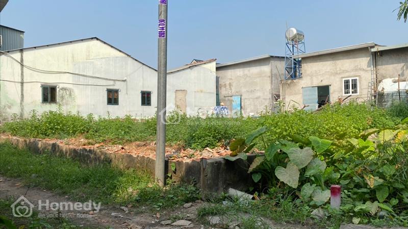 Bán đất chòm sao , Hưng Định , TP Thuận An, Bình Dương
LH 0964.456.122 Dt
4 x 19,1m tổng 75m2 - Ảnh 7