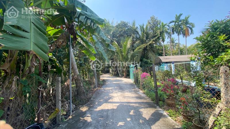 Đất Vườn có Thổ Cư,
Xã An Sơn 32 , TP Thuận An , Bình Dương
Điện Tích 15x32 tổng 500m thổ cư 100m - Ảnh 5