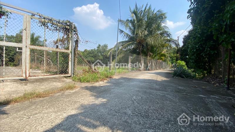 Đất Vườn có Thổ Cư,
Xã An Sơn 32 , TP Thuận An , Bình Dương
Điện Tích 15x32 tổng 500m thổ cư 100m - Ảnh 7