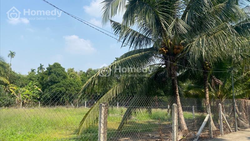 Đất Vườn có Thổ Cư,
Xã An Sơn 32 , TP Thuận An , Bình Dương
Điện Tích 15x32 tổng 500m thổ cư 100m - Ảnh 2