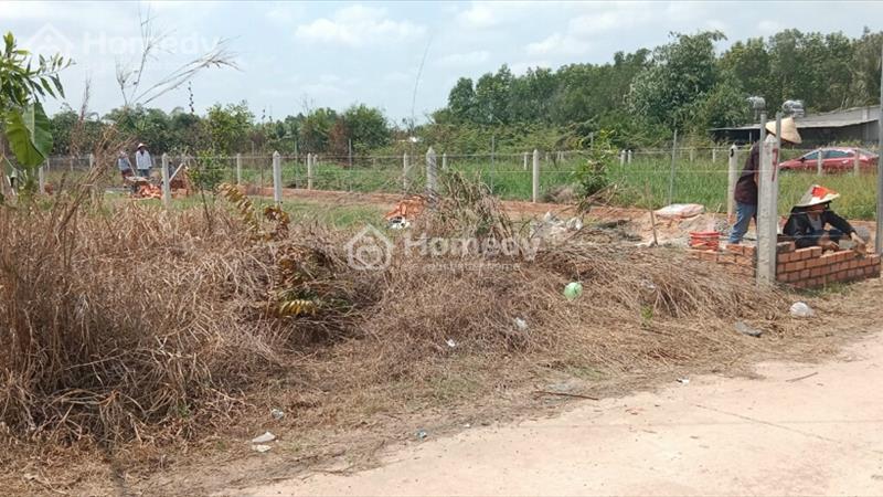 Đất Mặt Tiền Đường An Tây 060 Bến Cát , Bình Dương LH 0964.456.122 Diện tích 6.7x27m thổ cư 100m - Ảnh 6