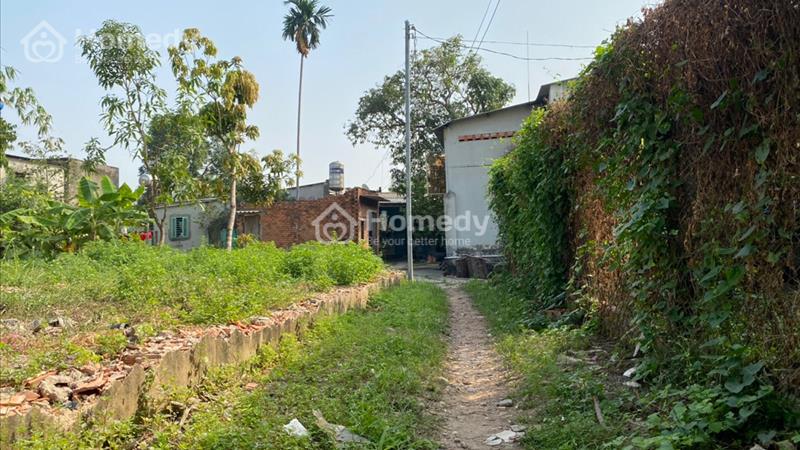 Bán đất chòm sao , Hưng Định , TP Thuận An, Bình Dương
LH 0964.456.122 Dt
4 x 19,1m tổng 75m2 - Ảnh 3