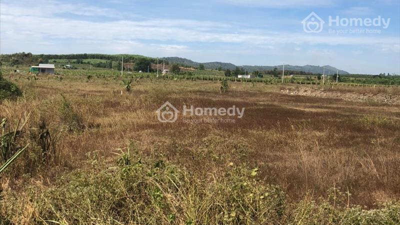 Bán đất 17855m mặt tiền quốc lộ 55B gần cao tốc Sông Phan, Huyện Hàm Tân - Bình Thuận giá 10.00 Tỷ - Ảnh 1